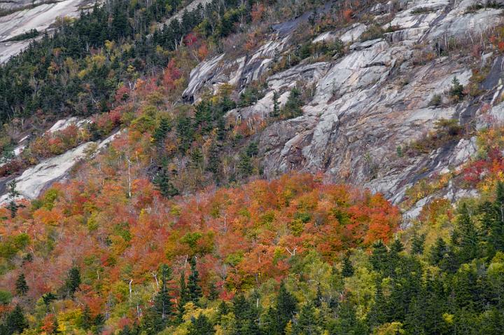 04 Crawford Notch 7272.jpg